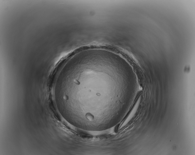 X0000094371160200711091531