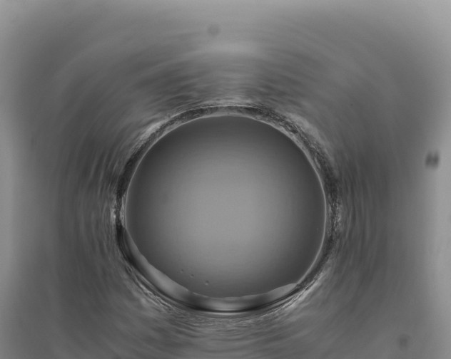 X0000094371161200711091531