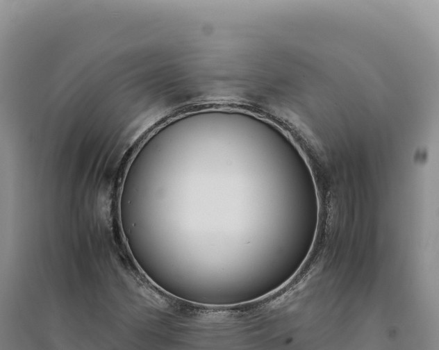 X0000094371162200711091531