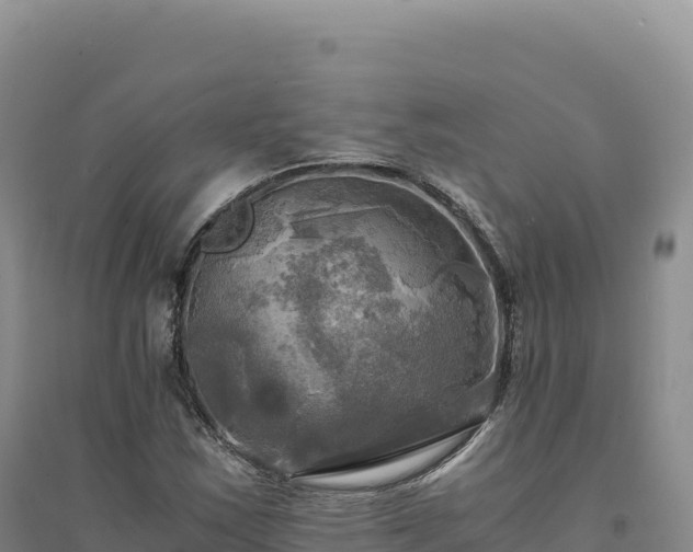 X0000094371163200711091531