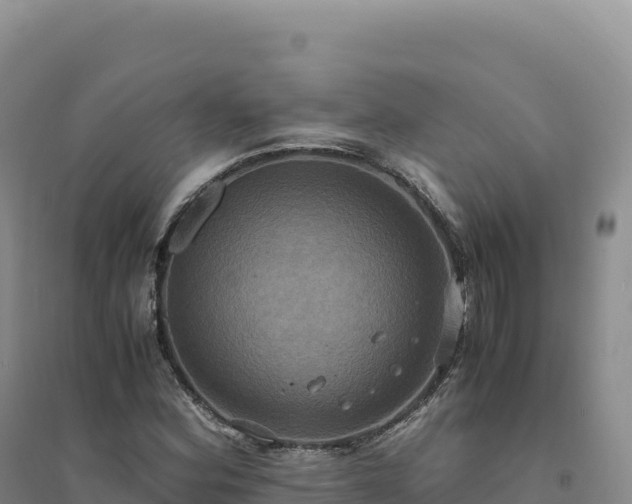 X0000094371164200711091531