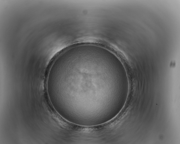 X0000094371166200711091531