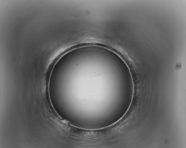 X0000094371167200711091531