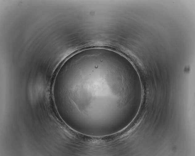 X0000094371170200711091531