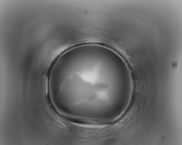 X0000094371171200711091531
