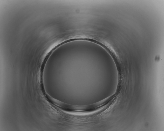 X0000094371173200711091531