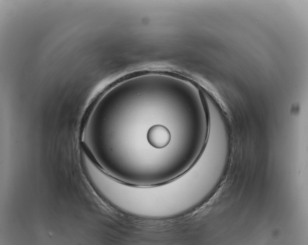 X0000094371176200711091531