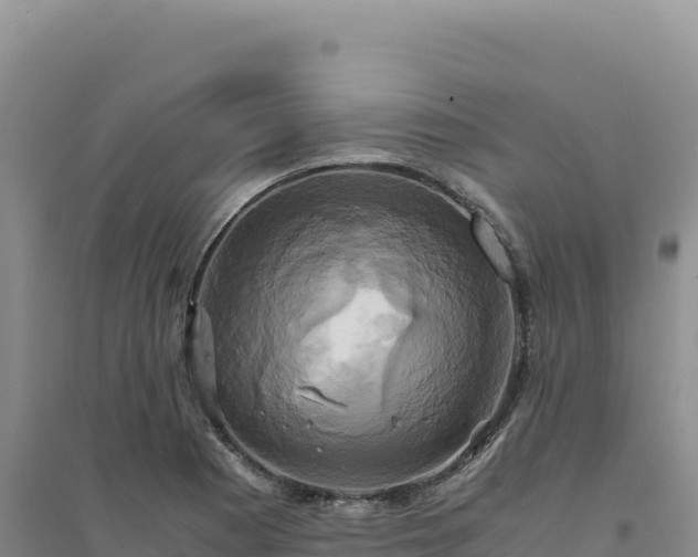 X0000094371177200711091531