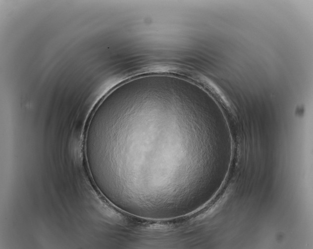 X0000094371178200711091531