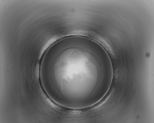 X0000094371180200711091531