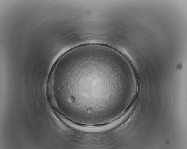 X0000094371181200711091530