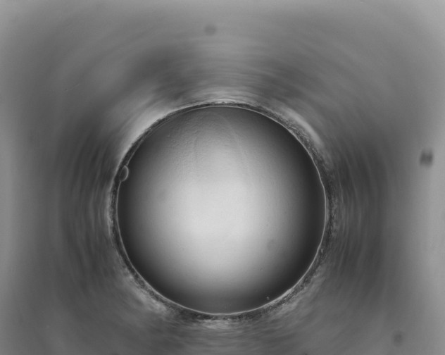 X0000094371182200711091530