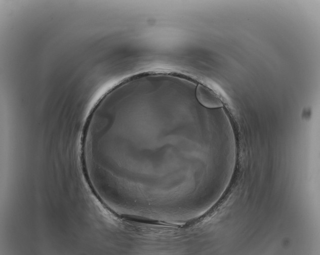 X0000094371183200711091530