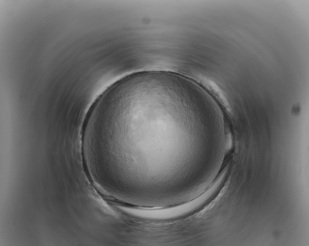 X0000094371184200711091530
