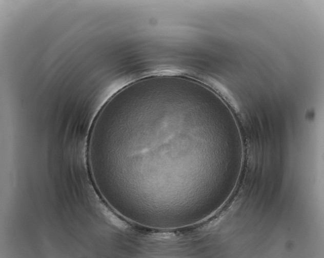 X0000094371186200711091530
