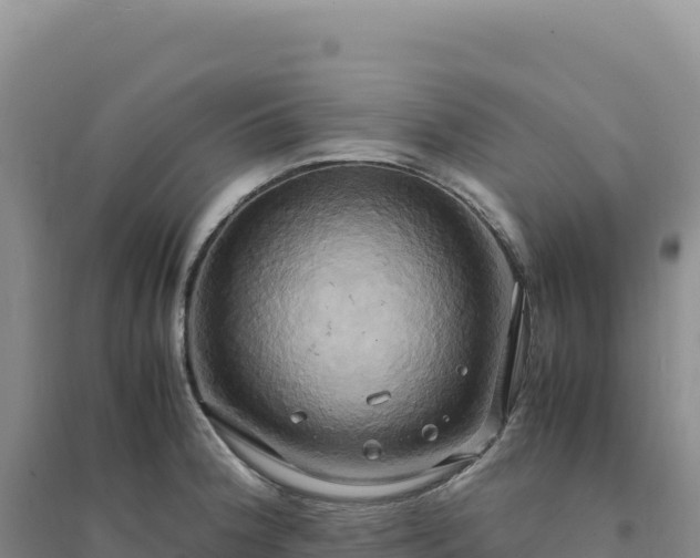 X0000094371188200711091530