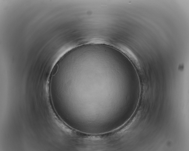 X0000094371190200711091530