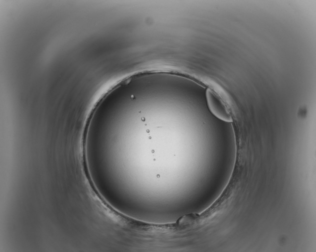 X0000094371191200711091530