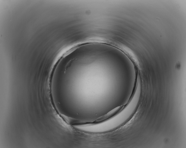 X0000094371192200711091530