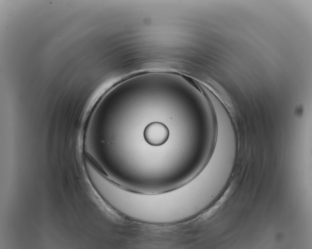 X0000094371196200711091530