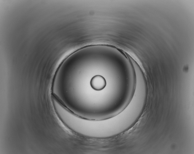 X0000094371197200711091530