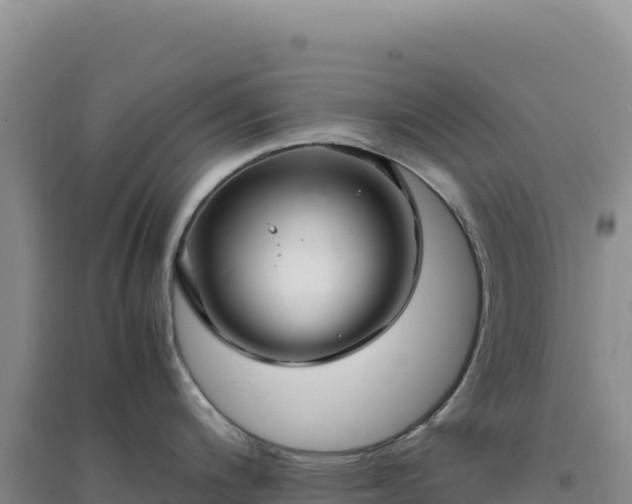 X0000094371200200711091530