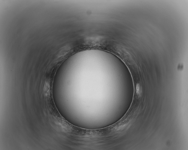 X0000094371203200711091530
