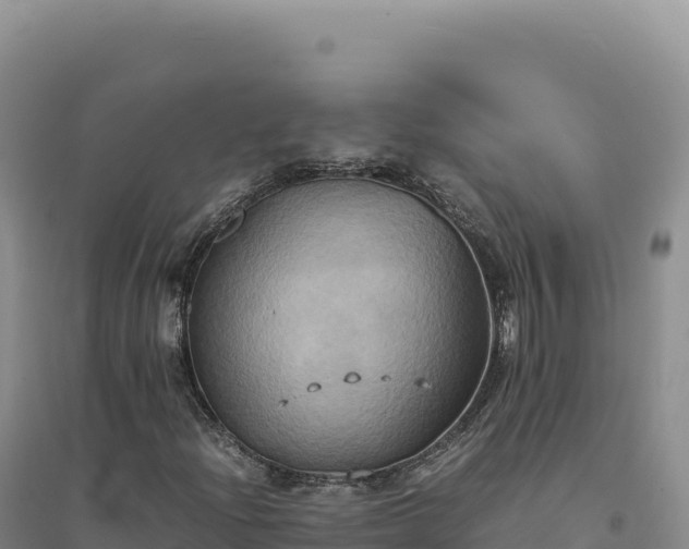 X0000094371204200711091530