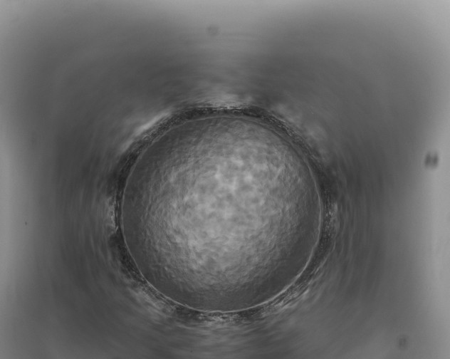 X0000094371205200711091530