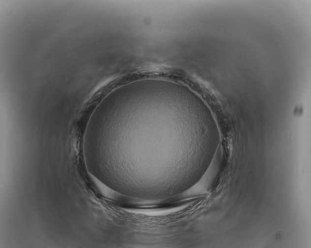 X0000094371206200711091530
