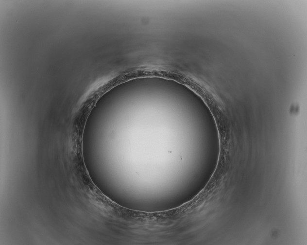 X0000094371207200711091530