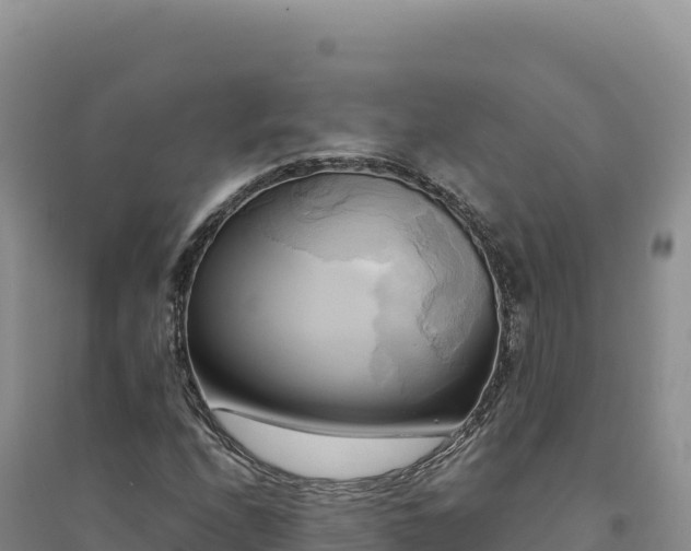 X0000094371208200711091530