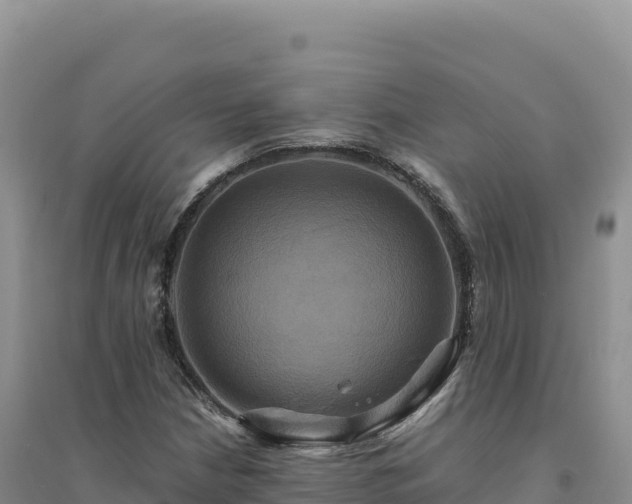 X0000094371210200711091530