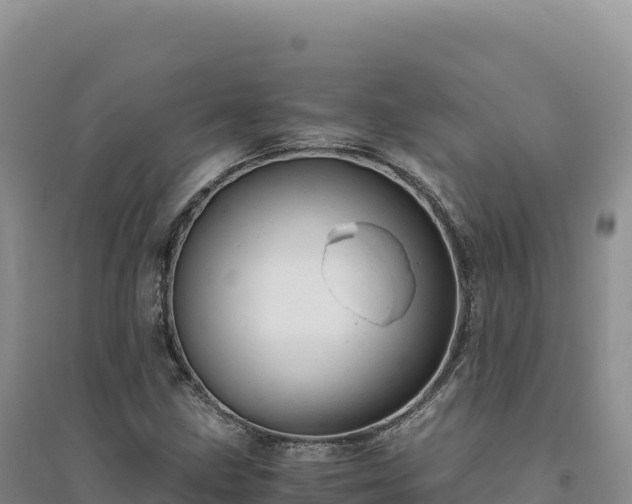 X0000094371211200711091530