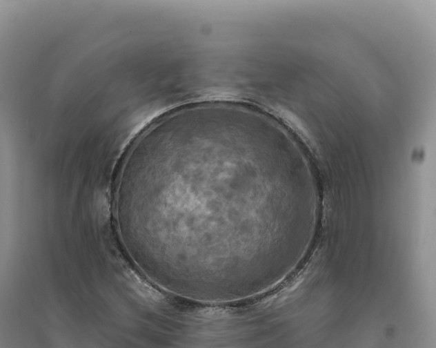 X0000094371212200711091530