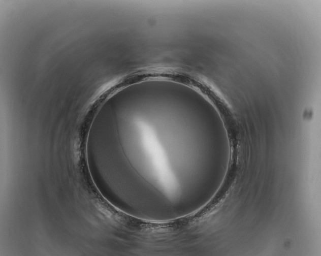 X0000094371213200711091530