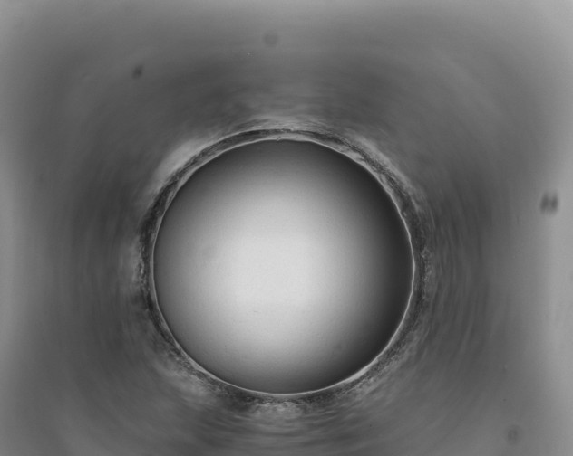 X0000094371215200711091530