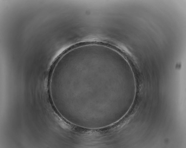 X0000094371216200711091530