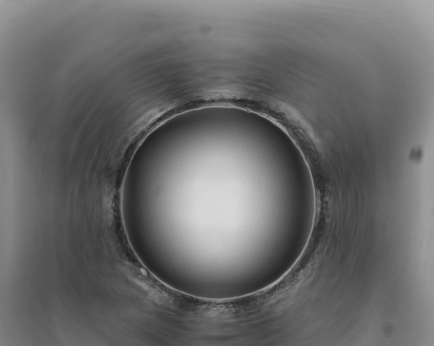 X0000094371217200711091530