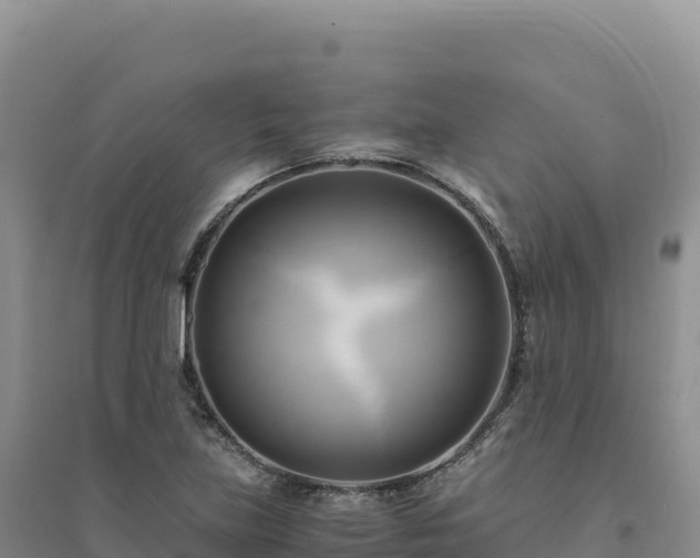 X0000094371219200711091530