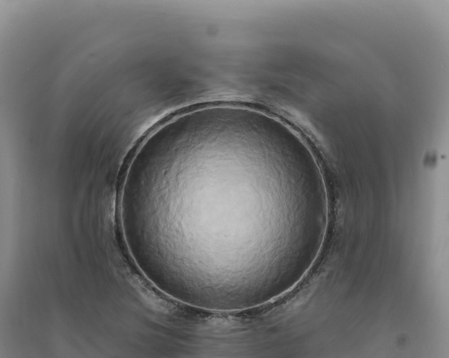 X0000094371220200711091530