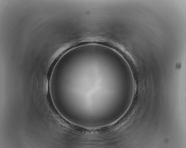 X0000094371221200711091530
