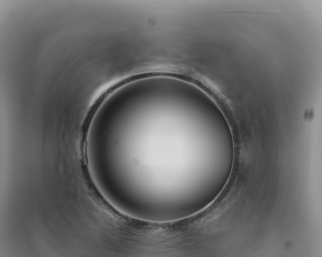X0000094371222200711091530