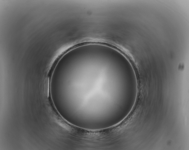 X0000094371223200711091530