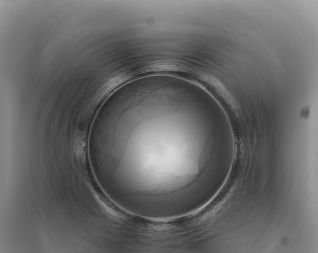 X0000094371225200711091530
