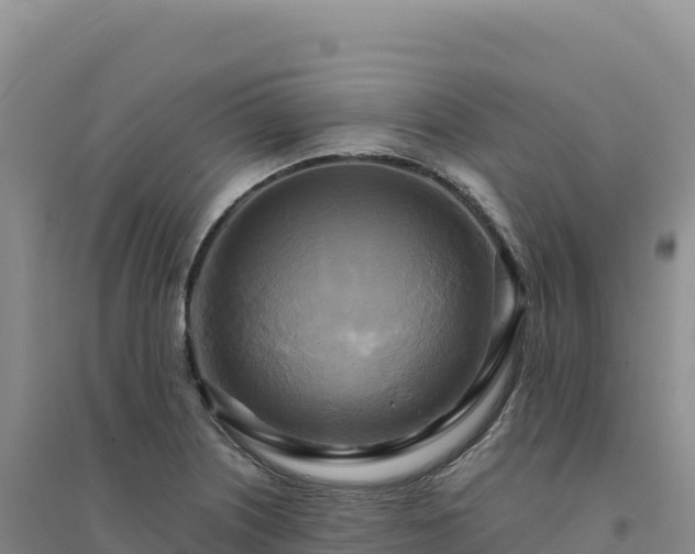 X0000094371226200711091530