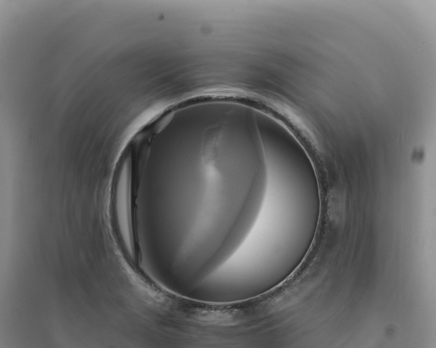 X0000094371229200711091530
