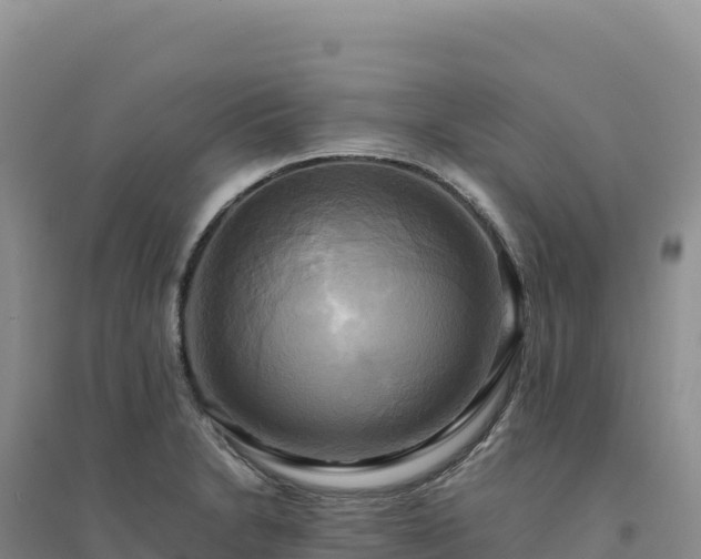 X0000094371230200711091530