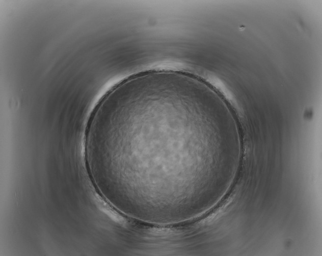 X0000094371232200711091530
