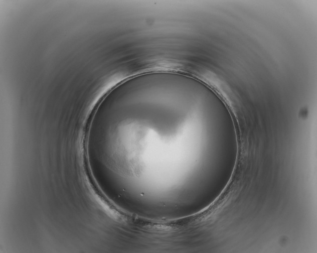 X0000094371235200711091530